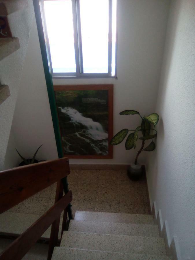 8 Calle Tangara La Gloria Santa Cruz de Tenerife Buitenkant foto